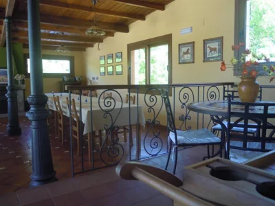 HOSTAL Restaurante RANCHEIRO — Foto 10