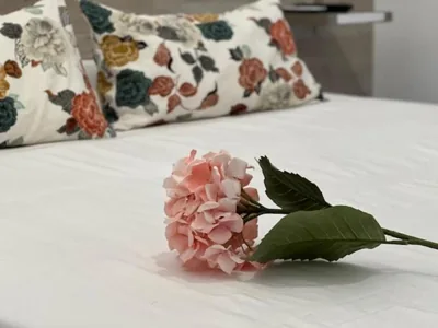 Hostal Rías Bajas — foto 10