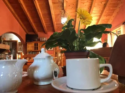 Hostal Rural Casa Pedro — foto 8