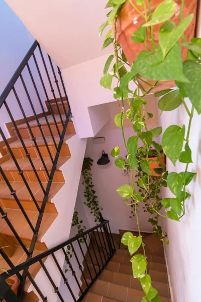 Hostal Rural La Fonda Del Rocio — photo 11