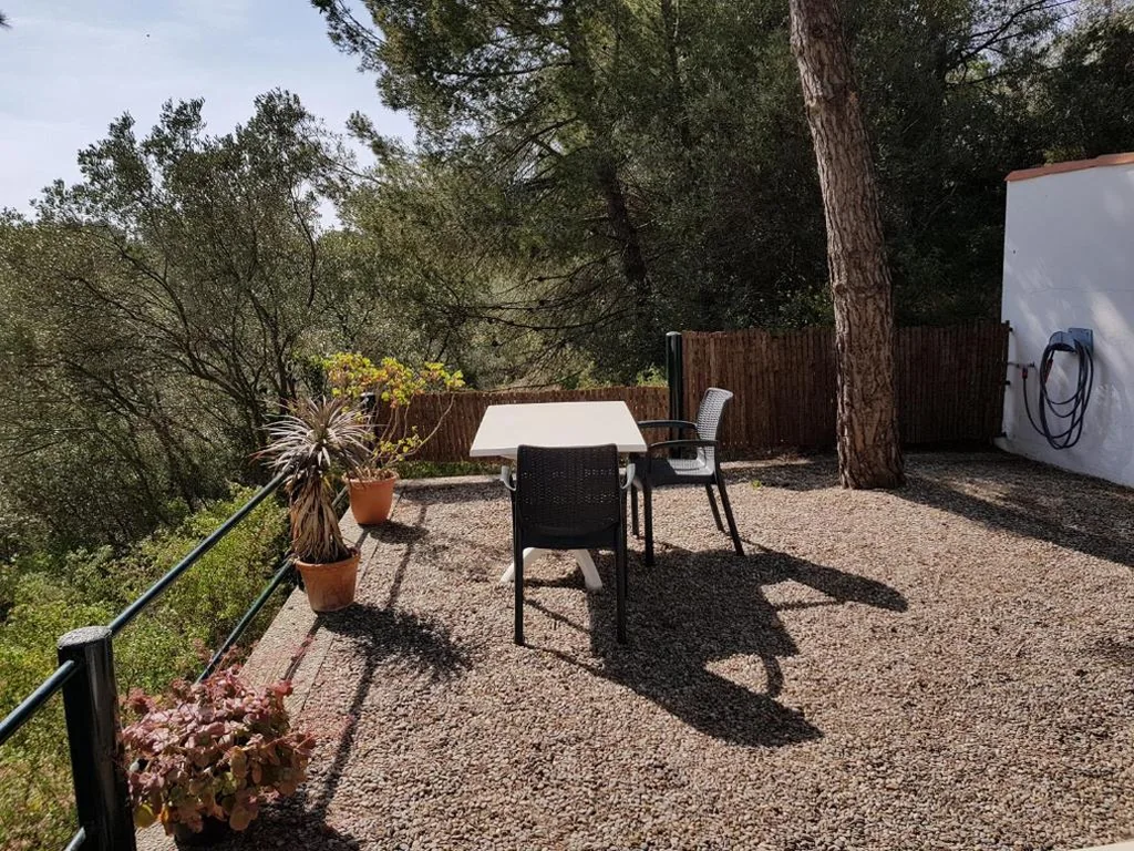Budget Double Room - 1 or 2 Beds — Hostal Sa Barraca - Adults Only