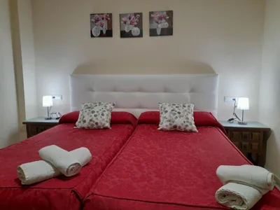 Hostal San Roque — foto 9