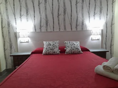 Hostal San Roque — foto 10