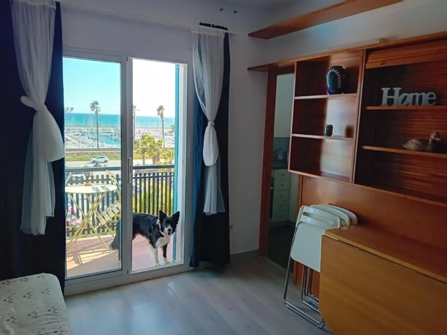 公寓 - 带露台 — Hostal Santa Gemma