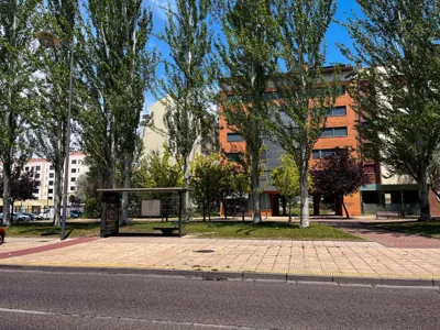 Hostal Santiago 2 — photo 6
