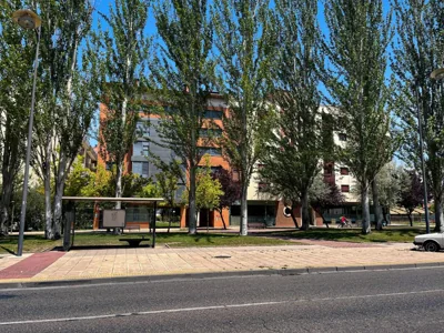 Hostal Santiago 2 — photo 7