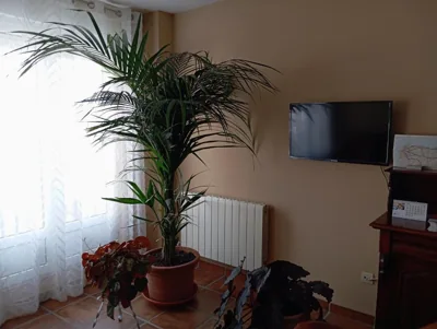 Hostal Santiago — photo 10