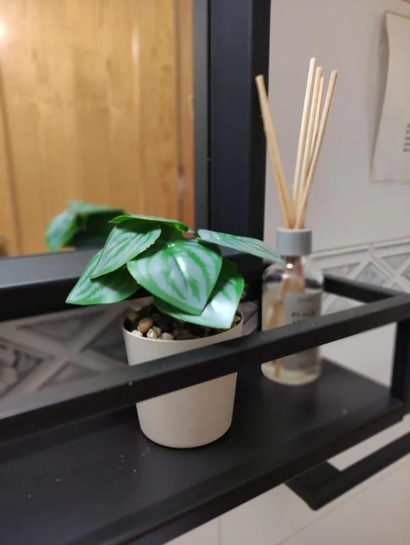 Camera doppia con terrazza — Hostal Taberno