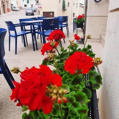 Hostal Tastavins — foto 6