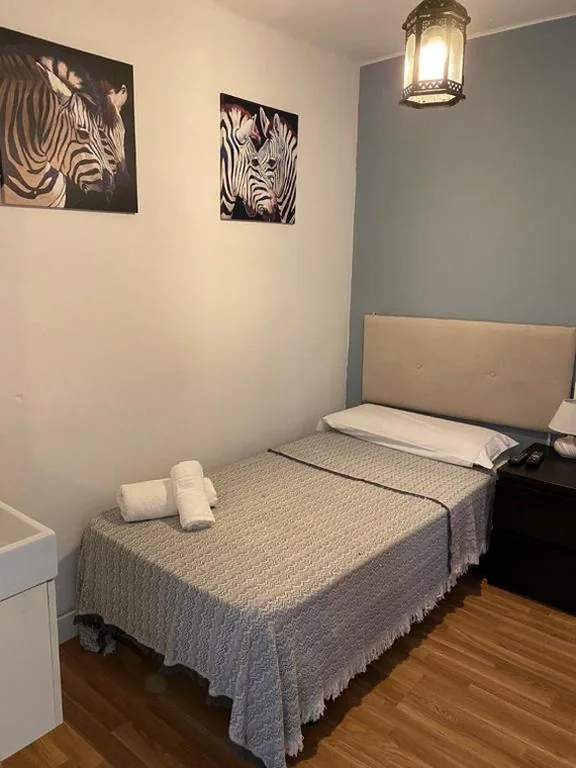 Single Room — Hostal The Monkey Room