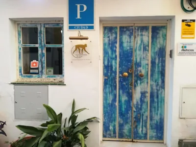 Hostal The Monkey Room — photo 9