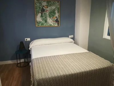 Hostal The Monkey Room — photo 10
