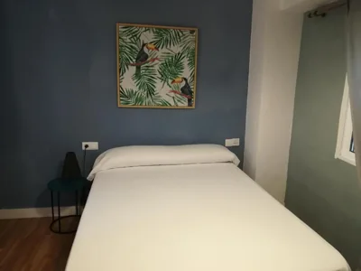 Hostal The Monkey Room — photo 12