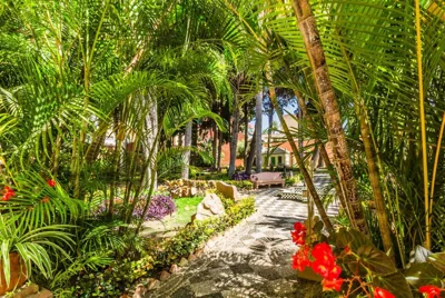 Hostal Tropical — foto 4
