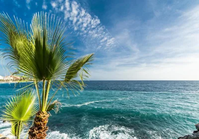 Hostal Tropical — foto 6