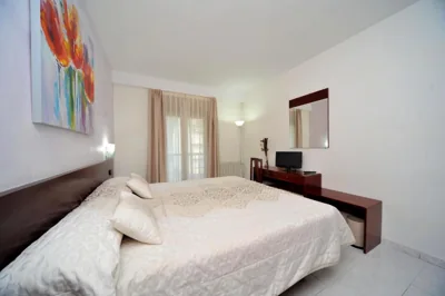 Hostal Vall D'Aneu — foto 12