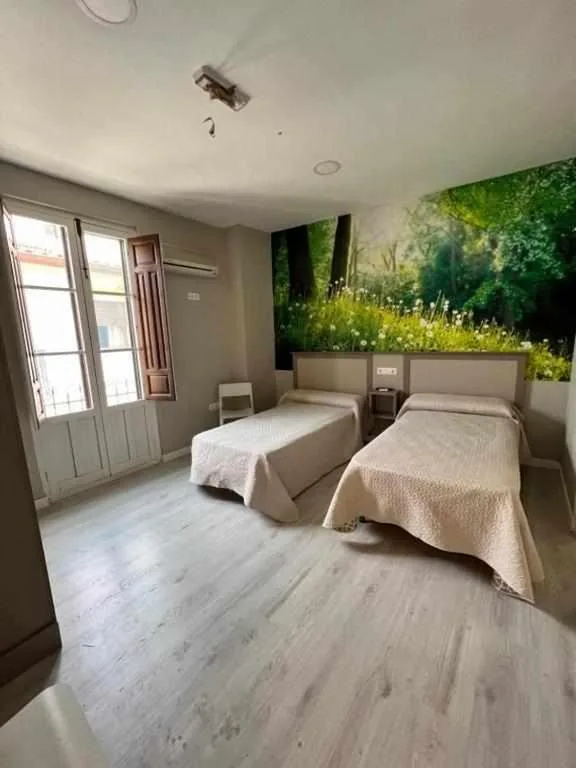 Günstiges Zweibettzimmer — Hostal Viena Plaza Nueva