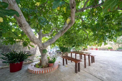 Hostal Vista a la Sierra — foto 12