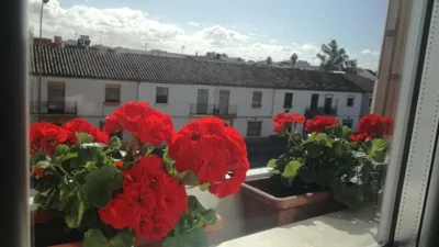 Hotel Abadi — foto 5