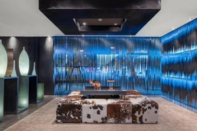 Hotel AC Baqueira Ski Resort, Autograph Collection — foto 8