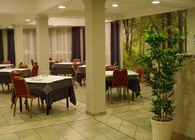 Hotel Alaiz — foto 6