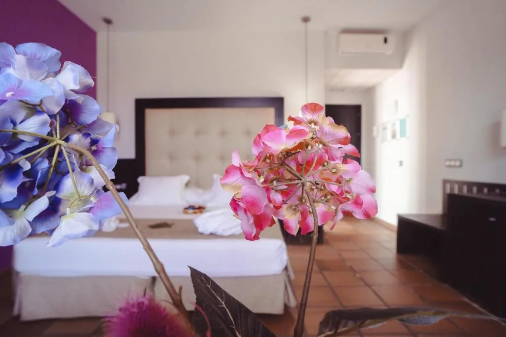 Suite — Hotel Albaida Nature