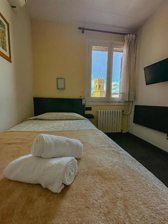Habitación Individual Estándar — Hotel Alegret