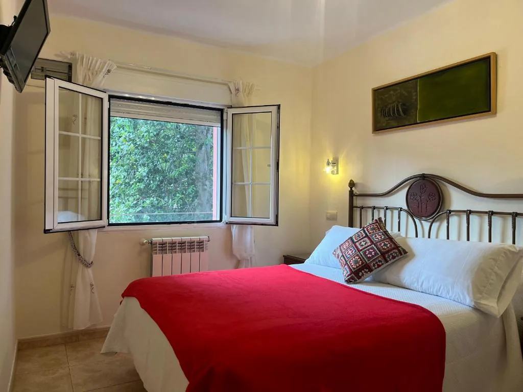 Chambre Supérieure - 1 grand lit — Hotel Alvaro frente Palacio-Museo Selgas
