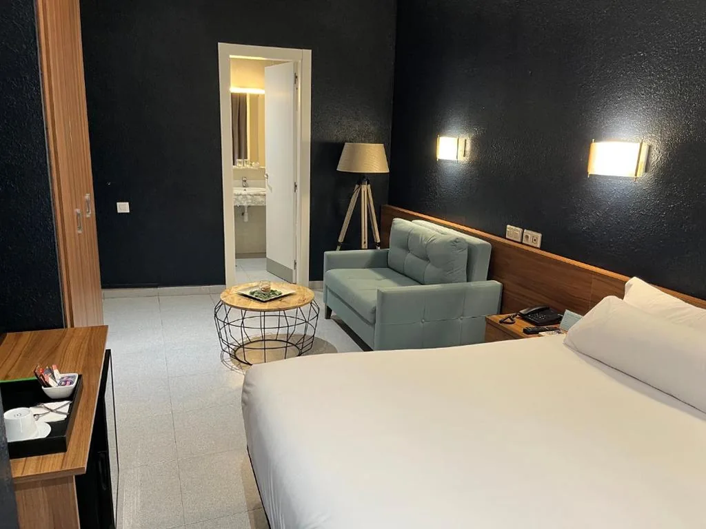 Habitación Superior - 1 cama grande — Hotel Aneto