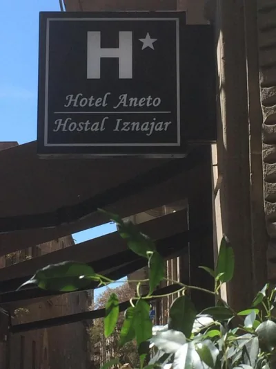 Hotel Aneto — foto 4
