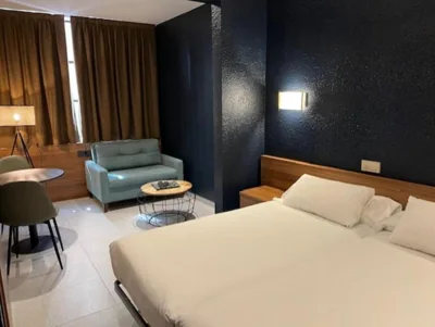 Hotel Aneto — foto 11