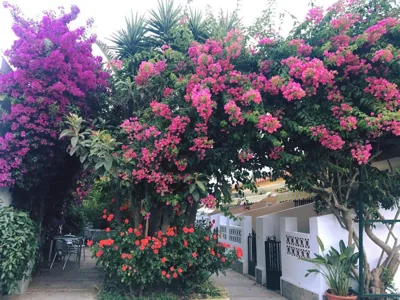 Hotel Antonio Conil — foto 9
