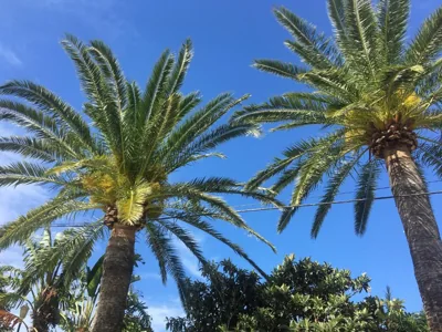 Hotel Antonio Conil — foto 10