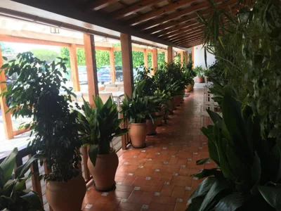 Hotel Antonio Conil — foto 11