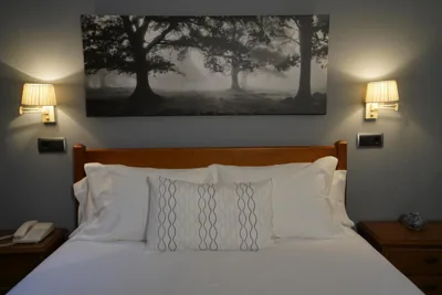 Hotel Arco Navia — foto 12