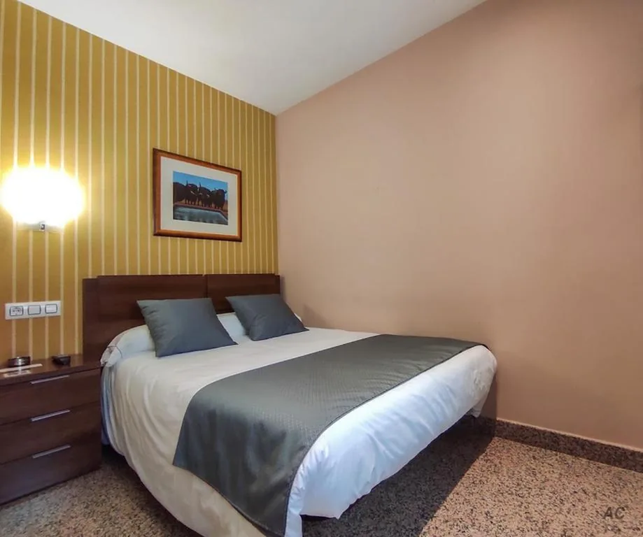 小型单人间 — Hotel Arcos Catedral