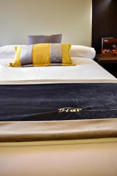 Hotel Armiñe — foto 10