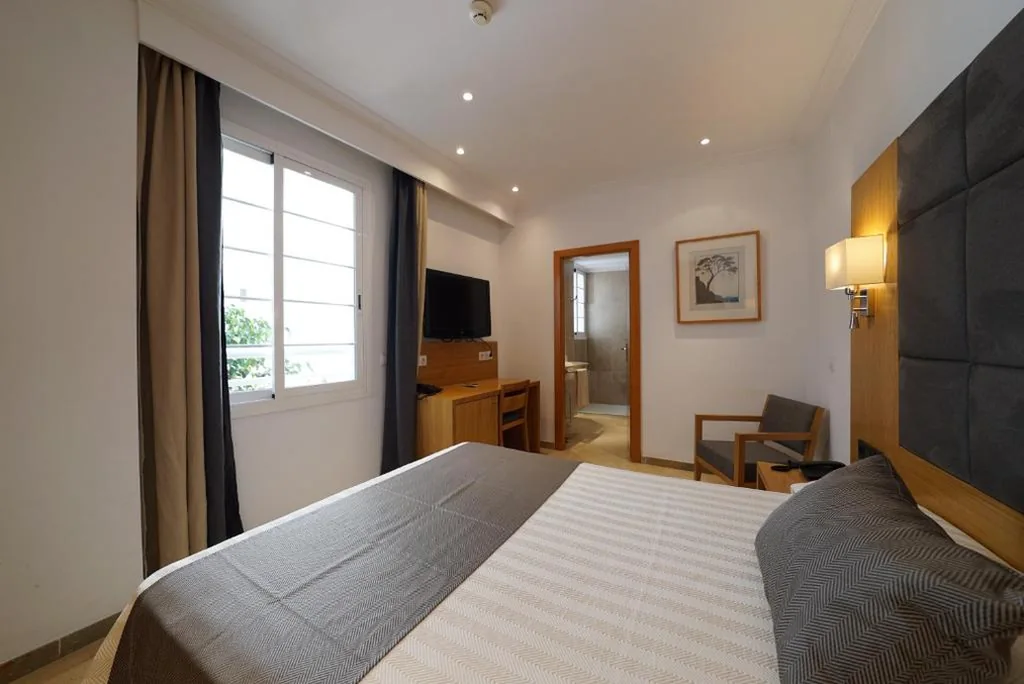 Single Room — Hotel Artmadams