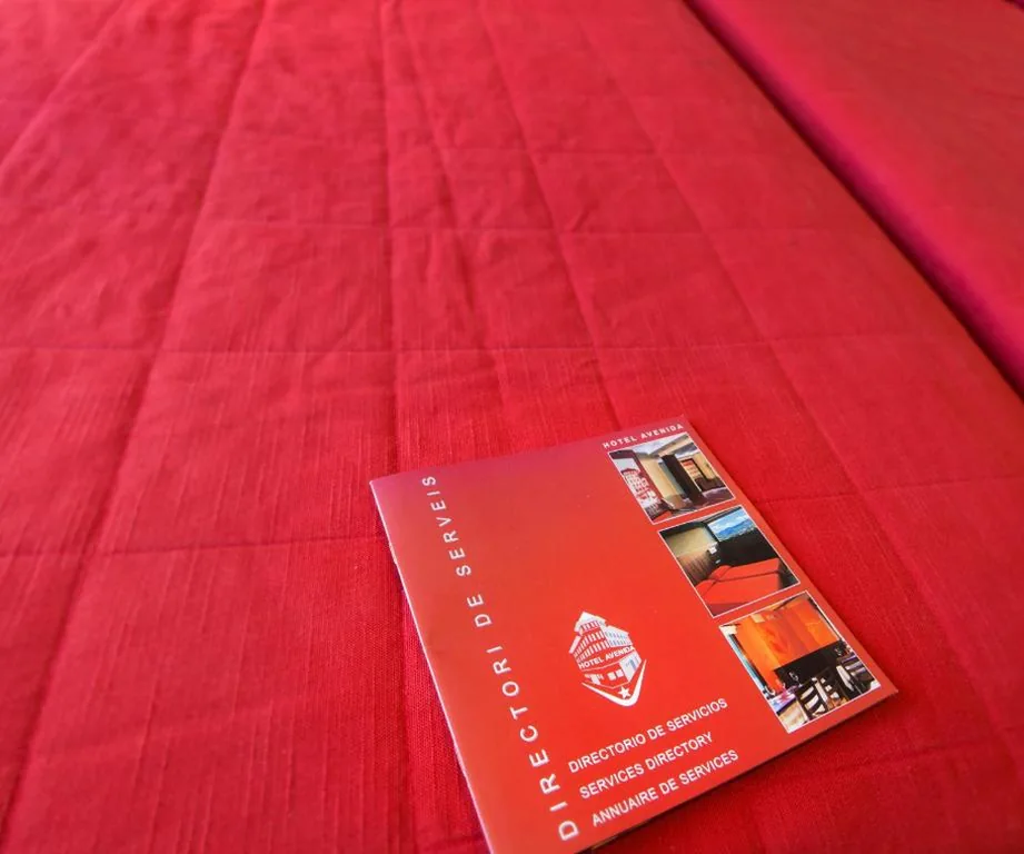 Doppelzimmer - 1 oder 2 Betten — Hotel Avenida