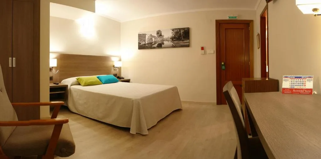 Camera matrimoniale — Hotel Avenida Plaza