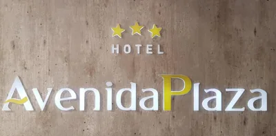 Hotel Avenida Plaza — foto 9