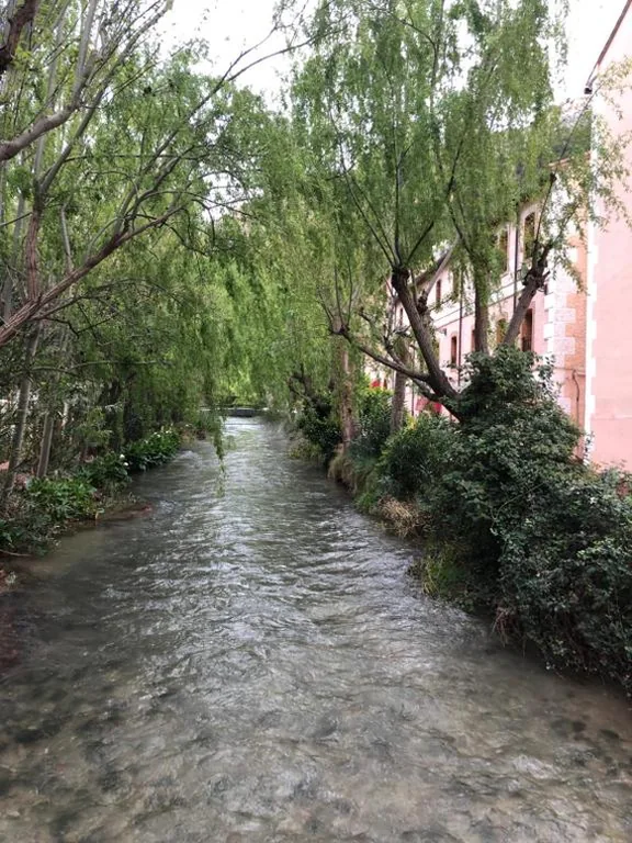 スーペリアダブルルーム（ベッド1台または2台） — Hotel Balneario de La Virgen