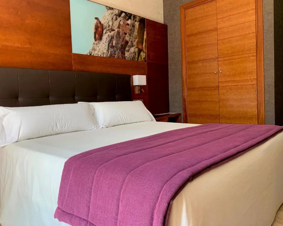 Superior Double Room with Spa Access - All-Inclusive — Hotel Balneario Valle del Jerte