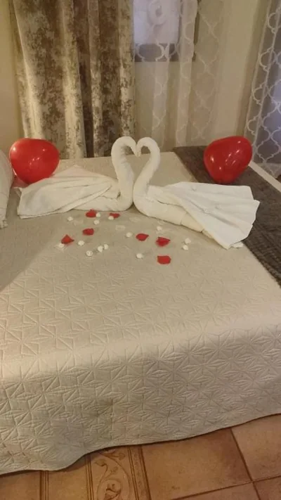 Hotel Baviera — photo 8
