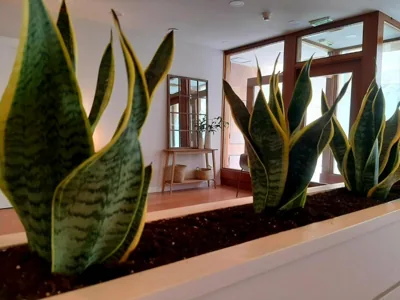 Hotel Beratxa — foto 10