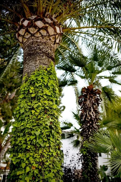 Hotel Bersoca — Foto 12