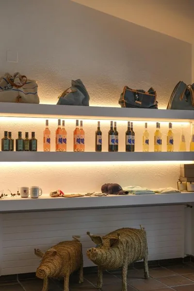 Hotel Blaumar Cadaqués by Fimedhotels — photo 10