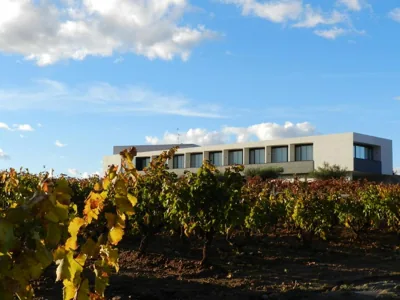 Hotel-Bodega Finca de Los Arandinos — foto 3