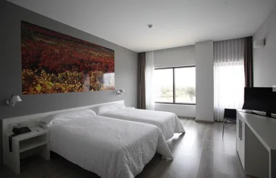 Hotel Bodegas Traslascuestas - GRUPO PIÉROLA — foto 8