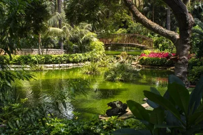 Hotel Botanico y Oriental Spa Garden — foto 3